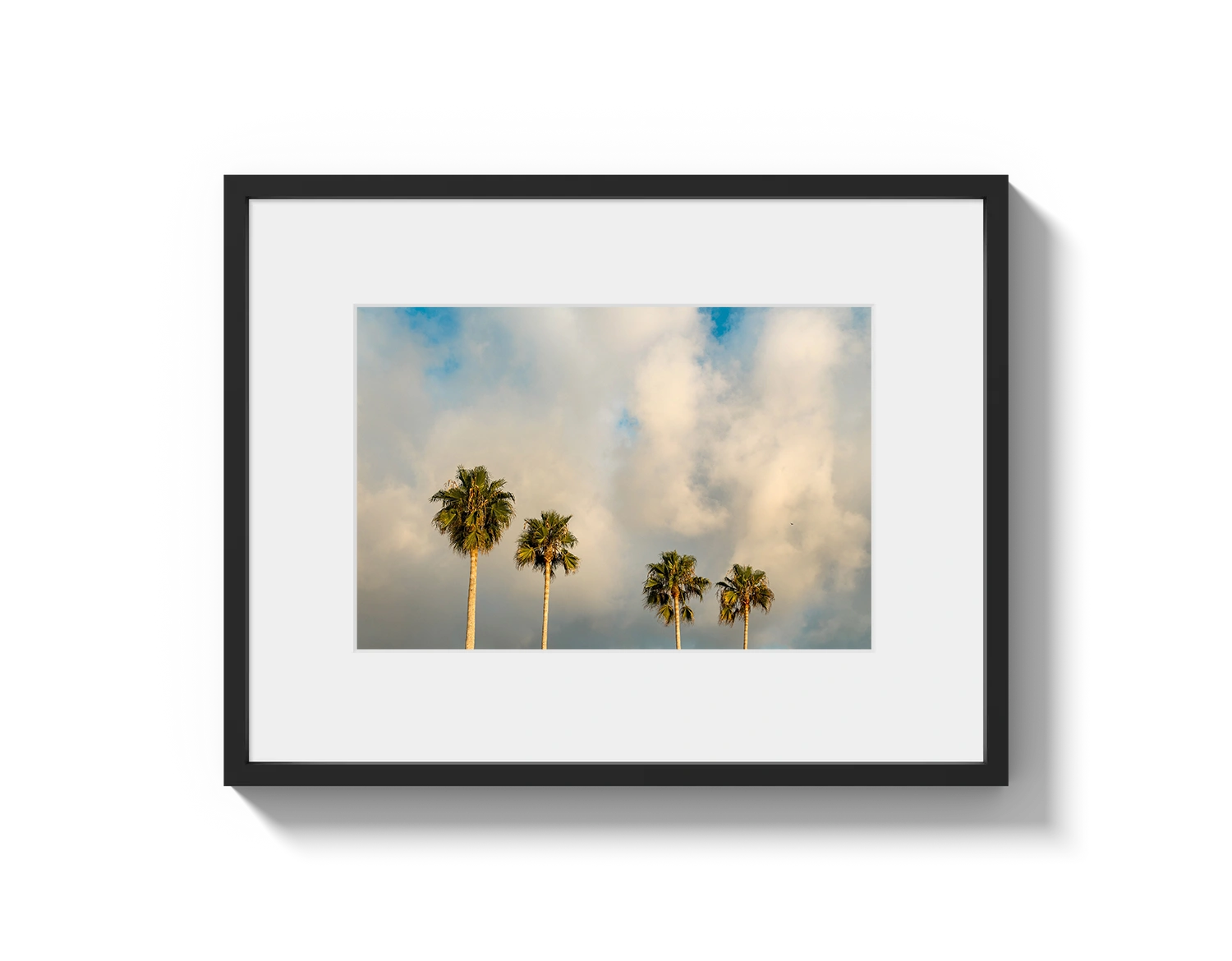 Palm Trees on Clouds