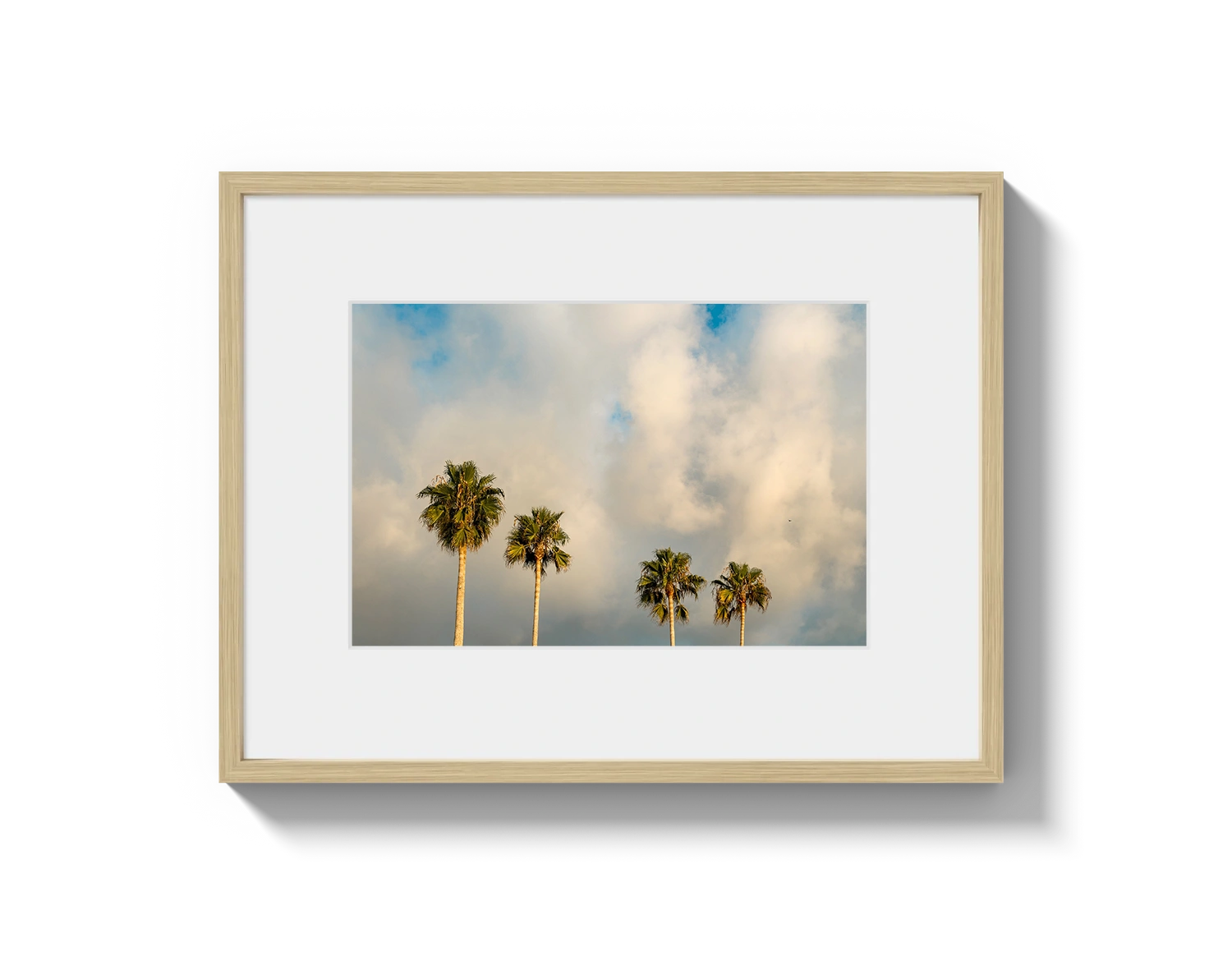 Palm Trees on Clouds