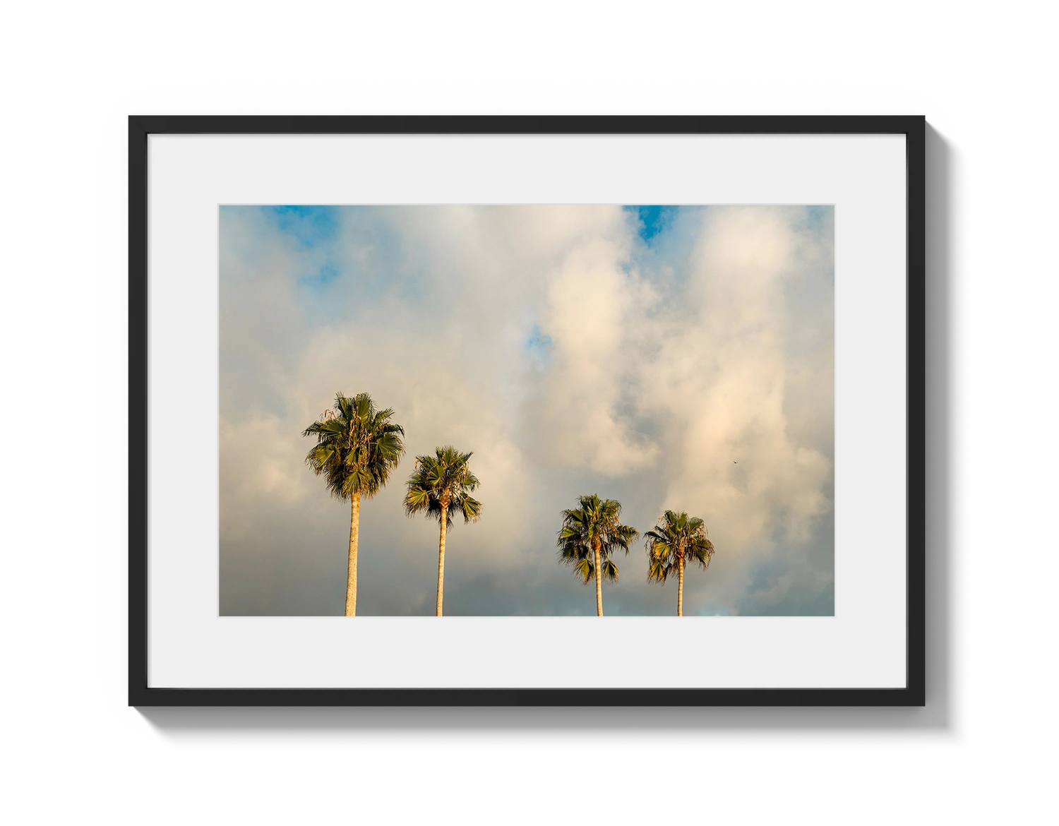 Palm Trees on Clouds