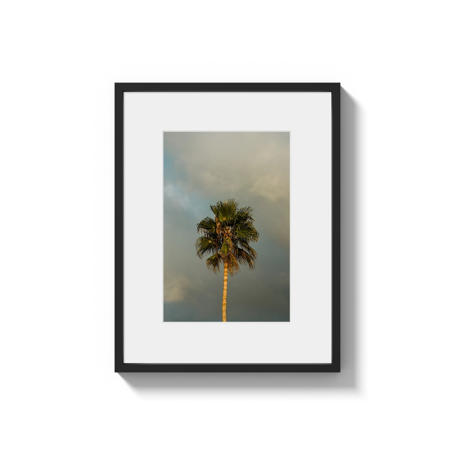 Lone Palm Tree on Clouds