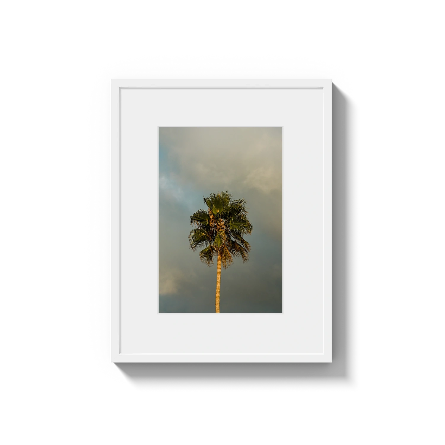 Lone Palm Tree on Clouds