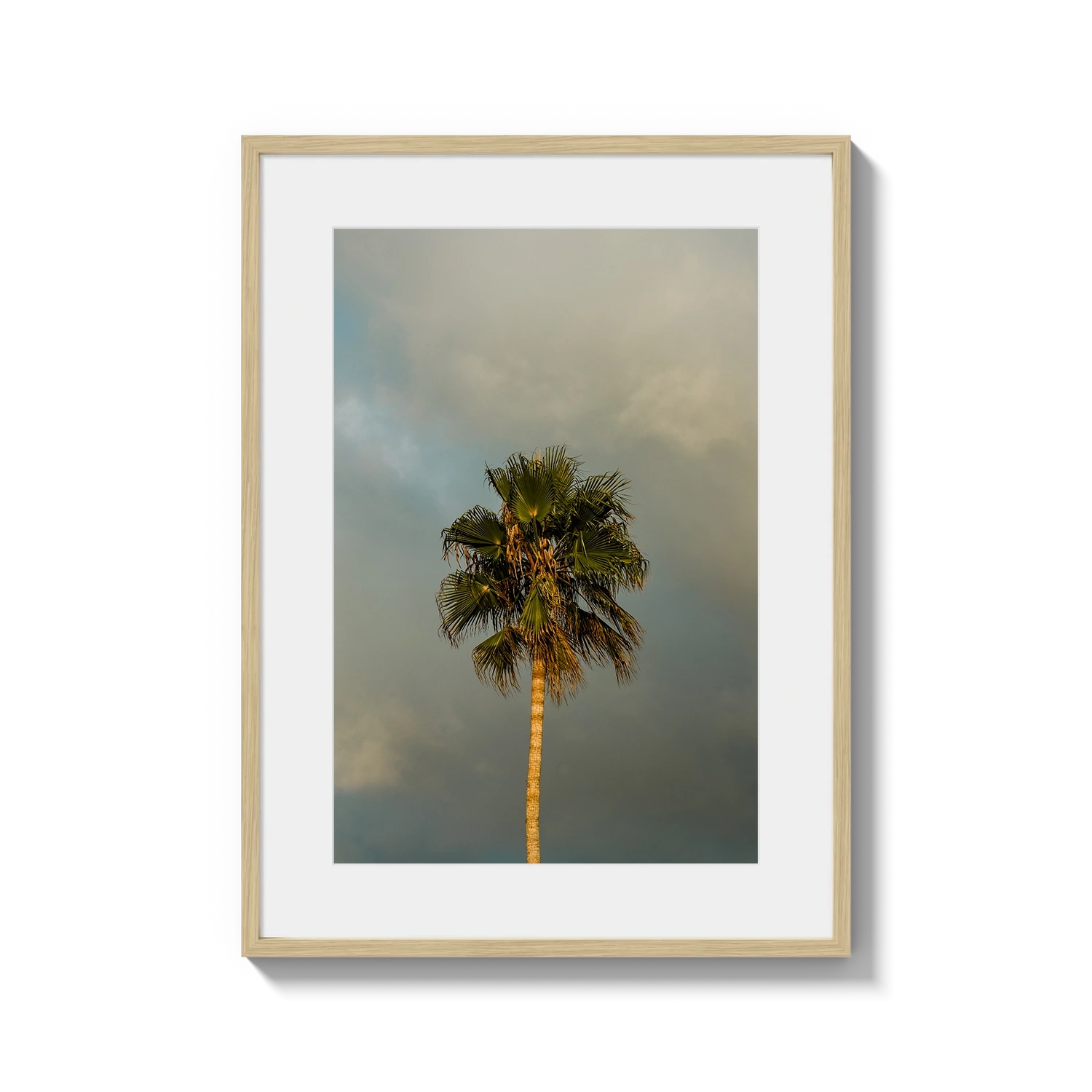 Lone Palm Tree on Clouds