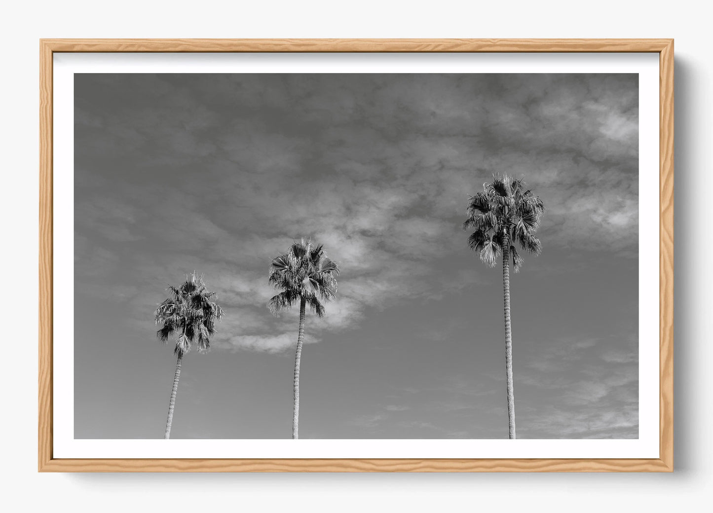 Three Palm Trees