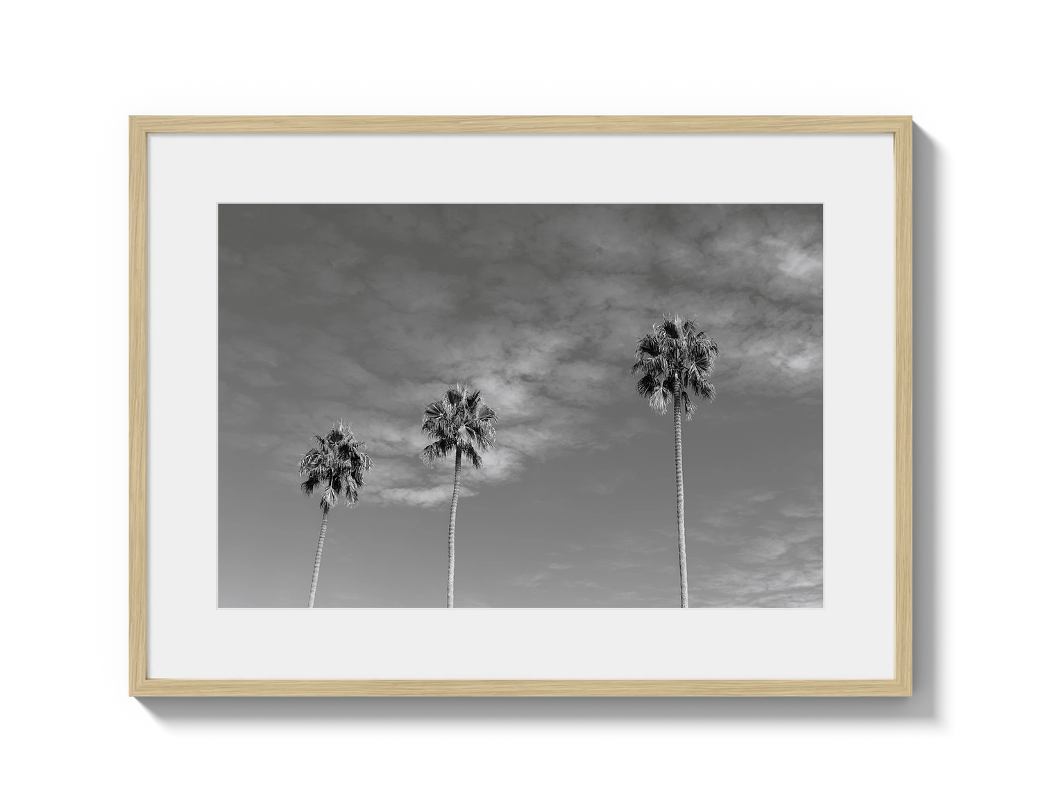 Three Palm Trees