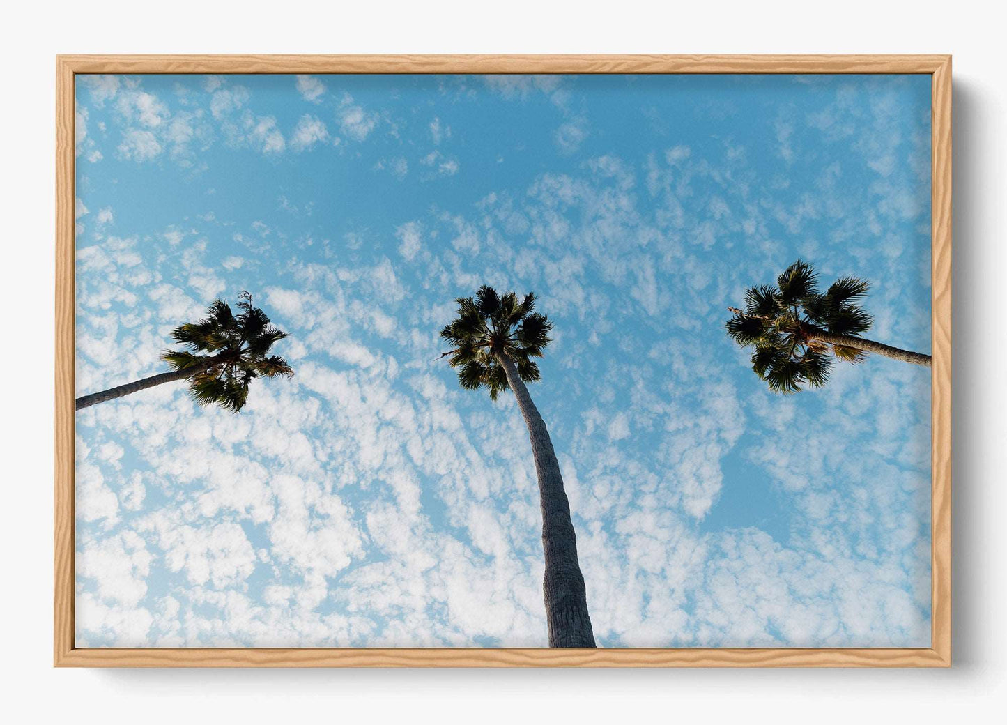 Three Palm Trees II