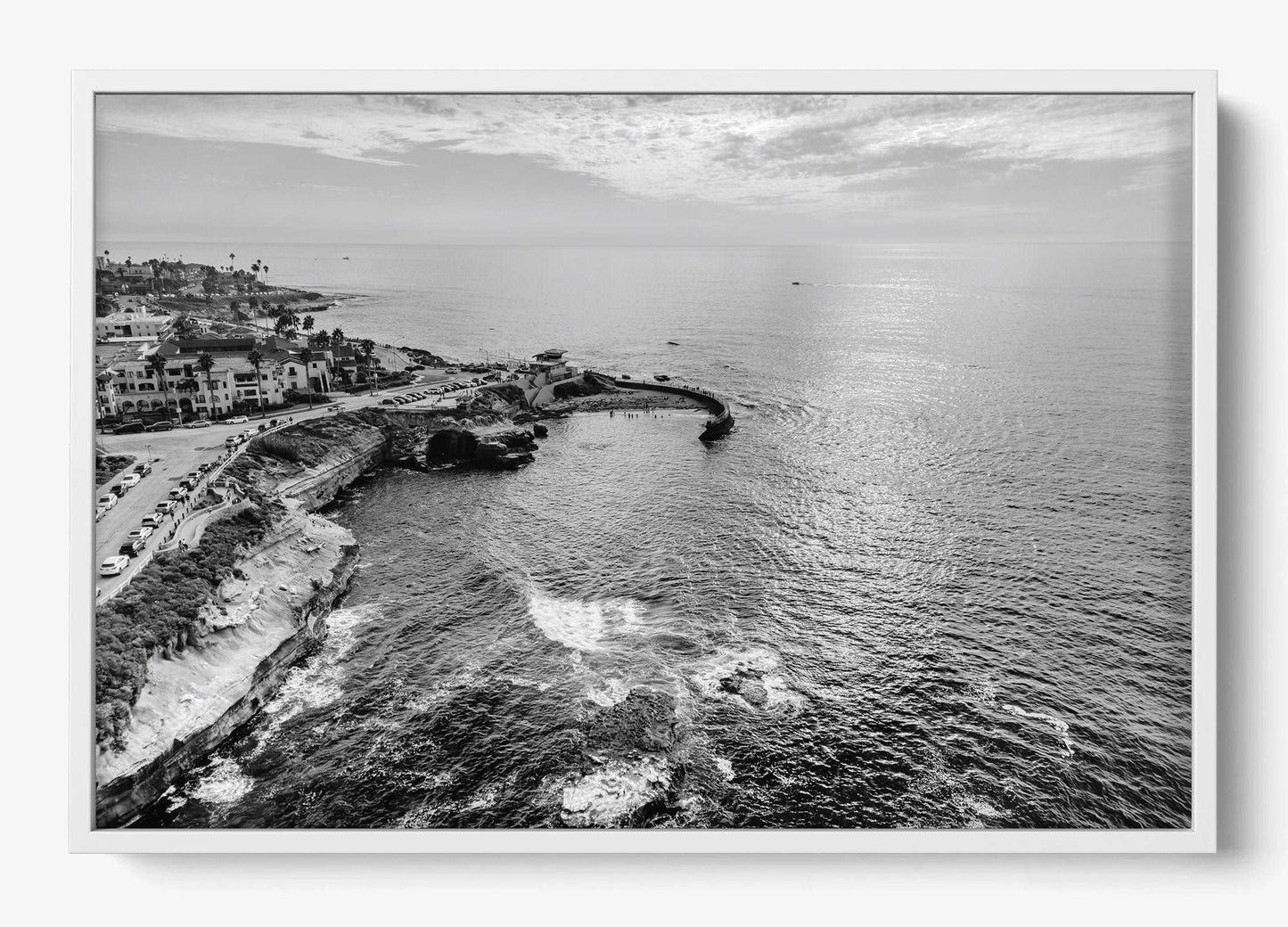 La Jolla B&W