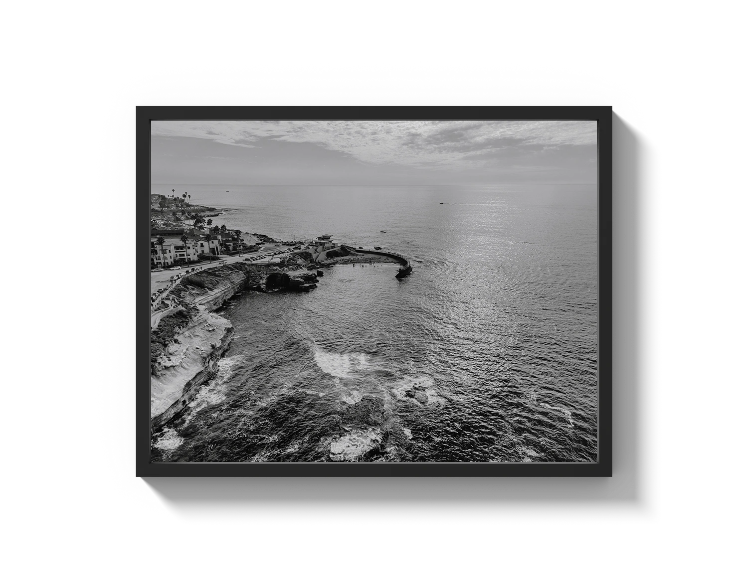 La Jolla B&W