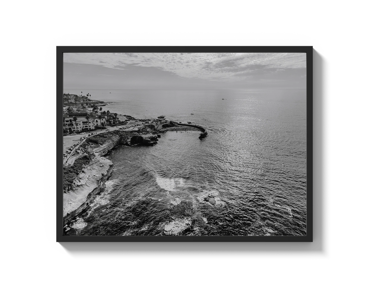 La Jolla B&W