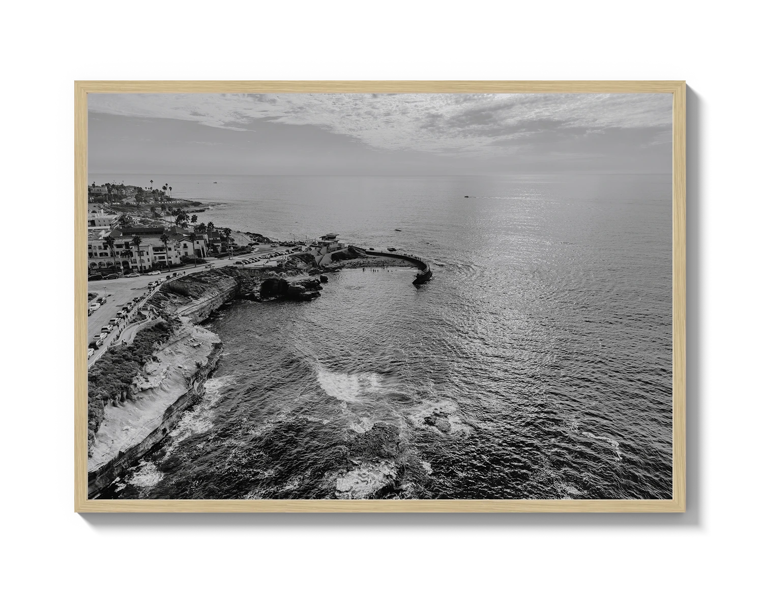 La Jolla B&W