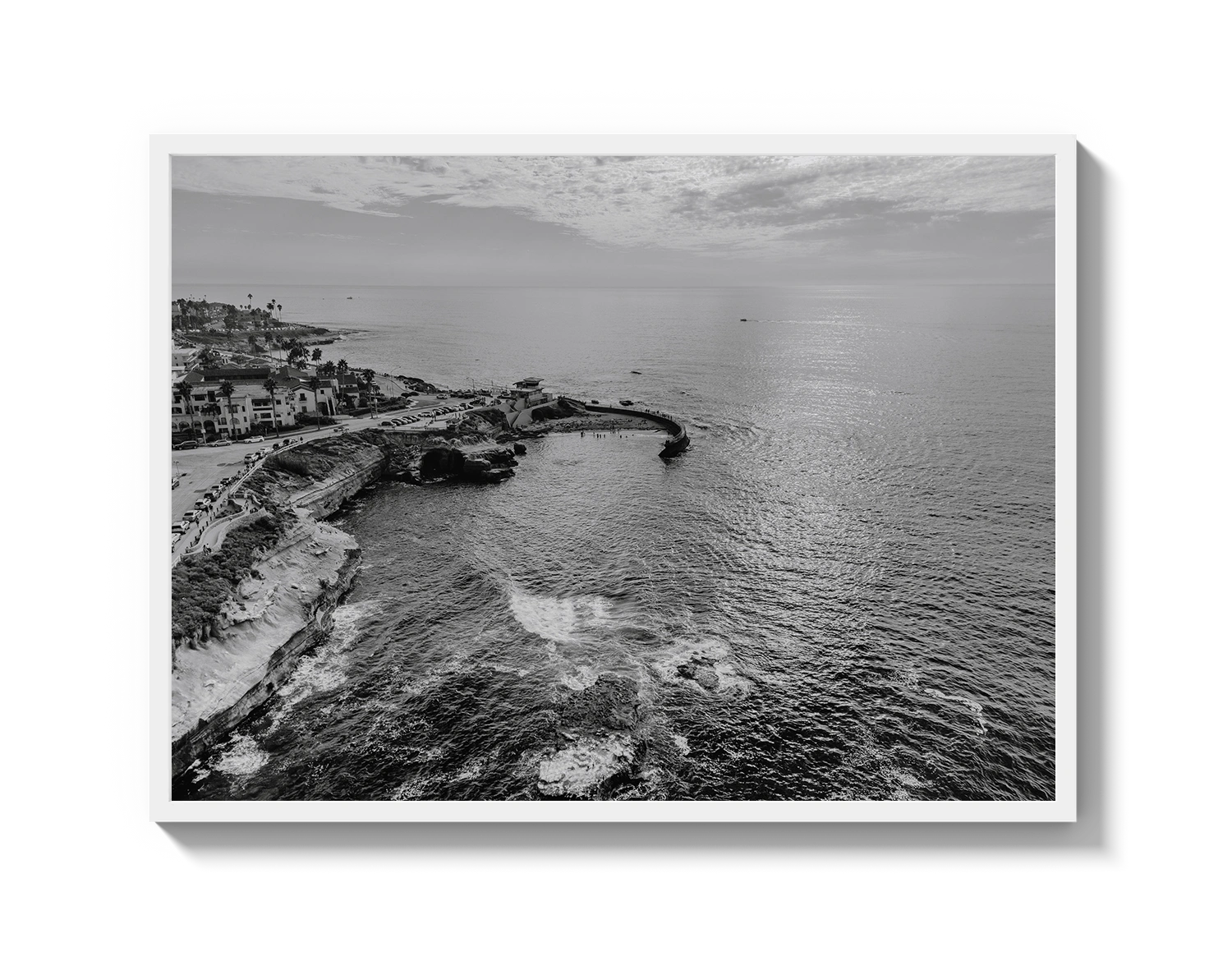 La Jolla B&W