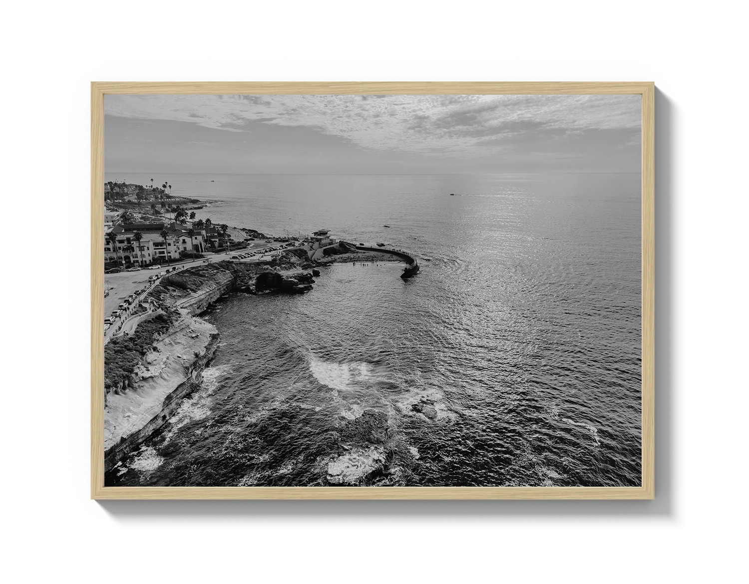 La Jolla B&W