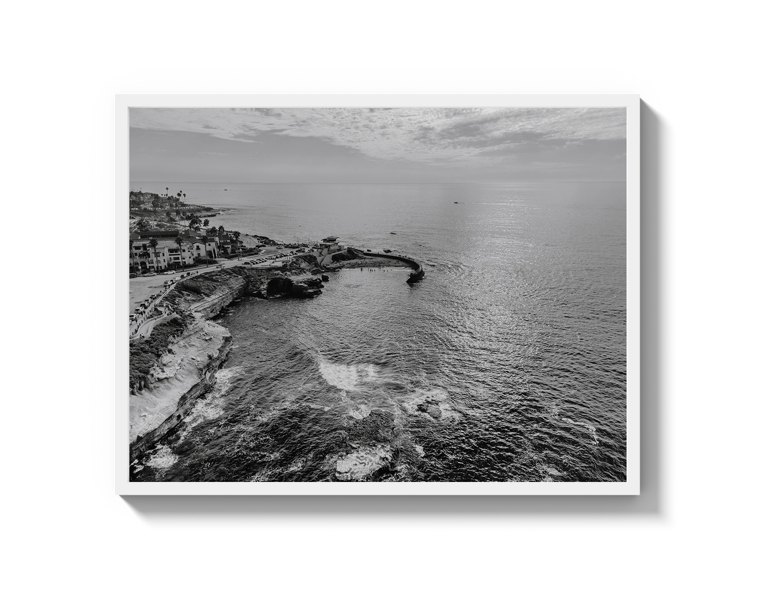 La Jolla B&W