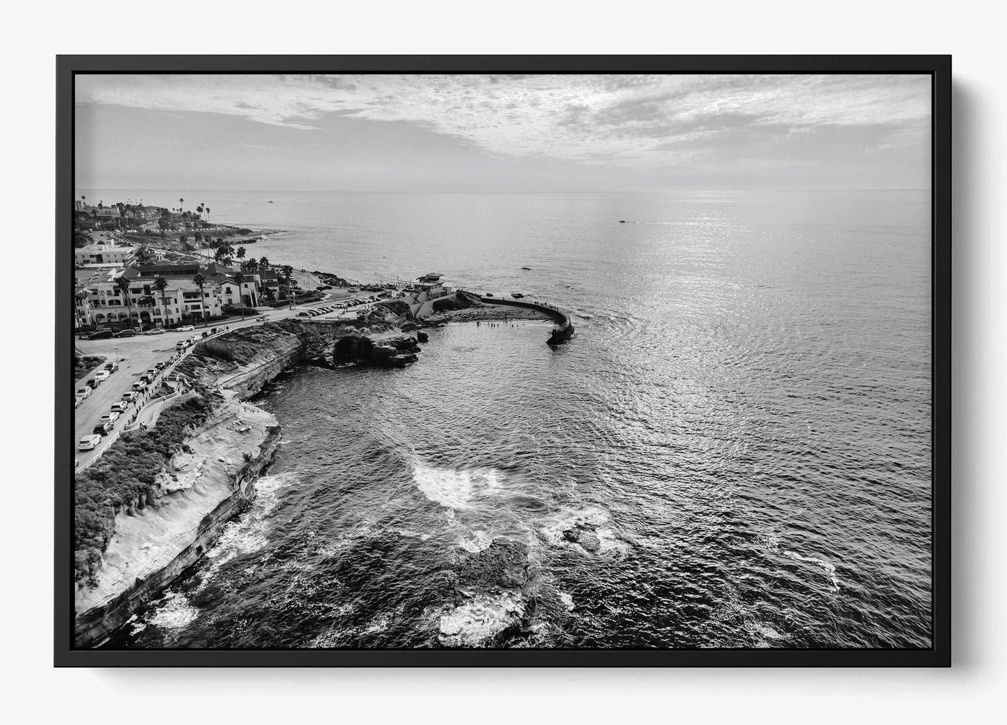 La Jolla B&W