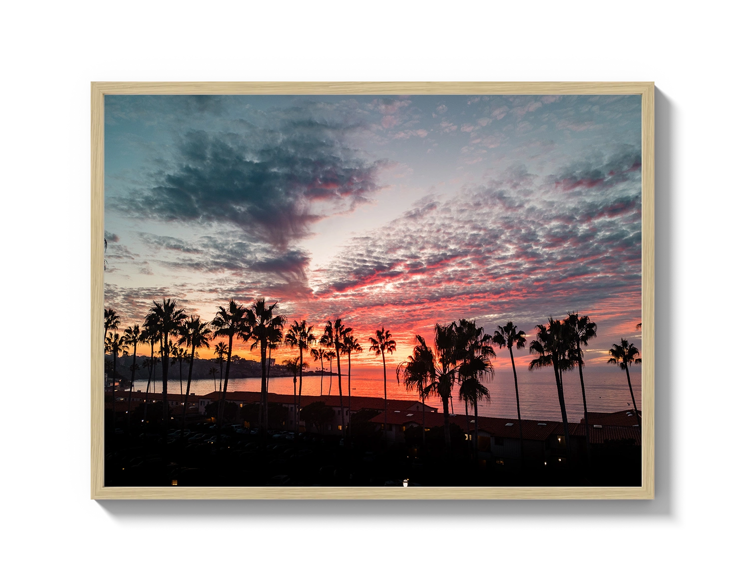 La Jolla Pink Sunset