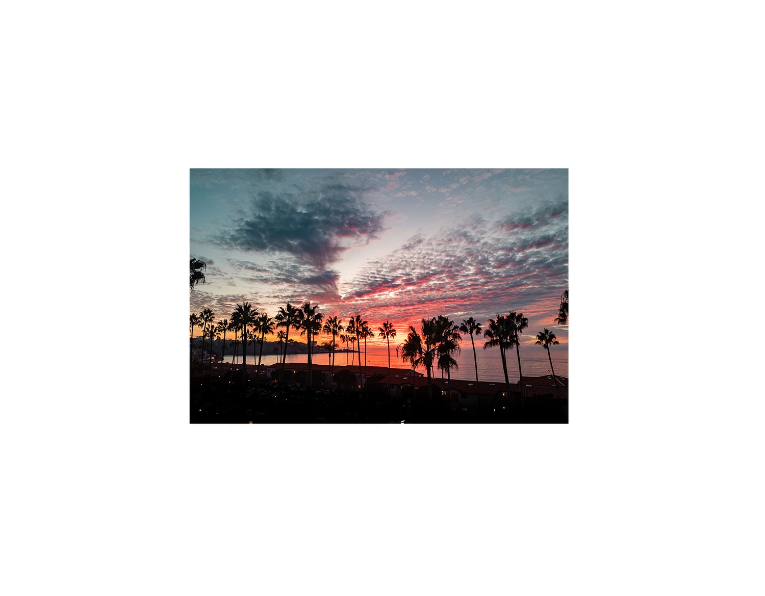 La Jolla Pink Sunset