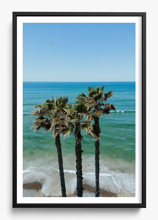 Three Palm Trees at the Beach