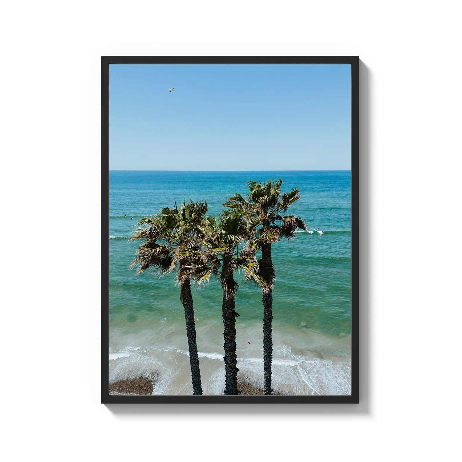 Three Palm Trees at the Beach