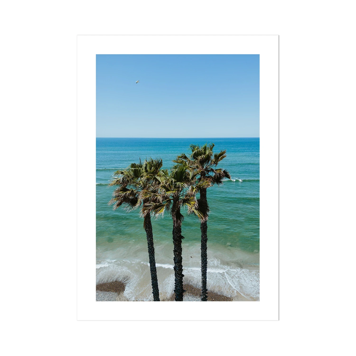 Three Palm Trees at the Beach