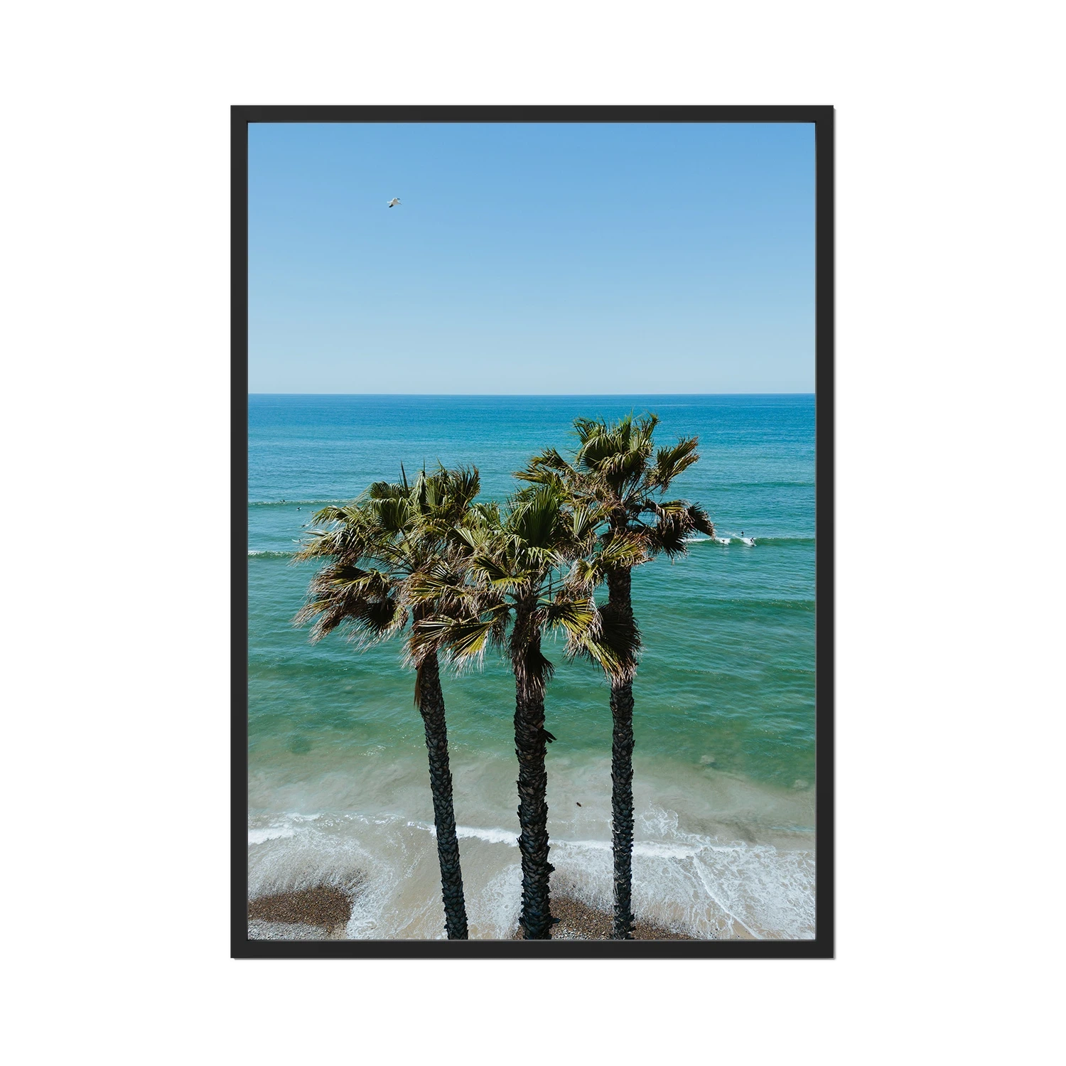 Three Palm Trees at the Beach