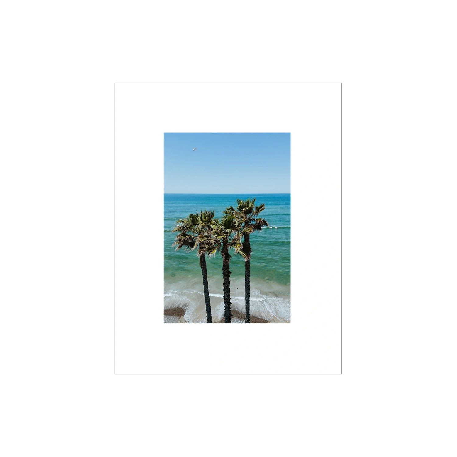 Three Palm Trees at the Beach