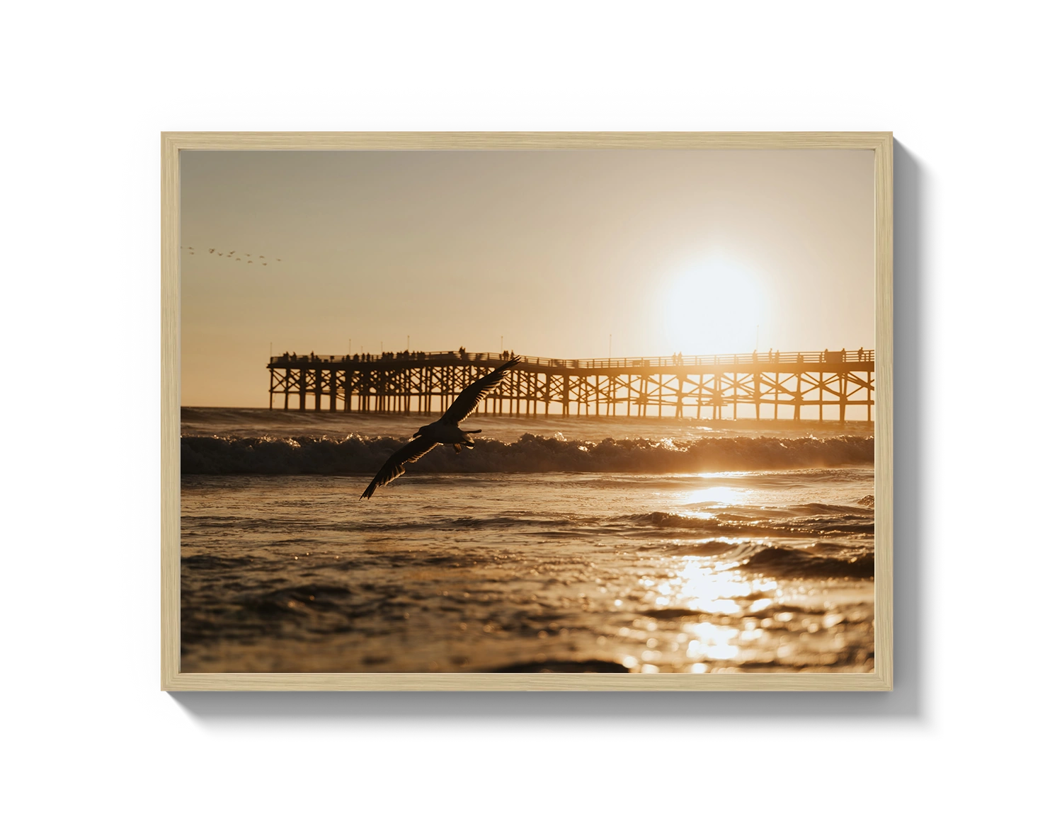 Beach Bird